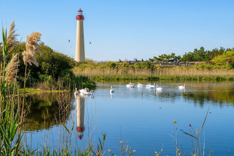 Things To Do Cape May Point State Park and Trails